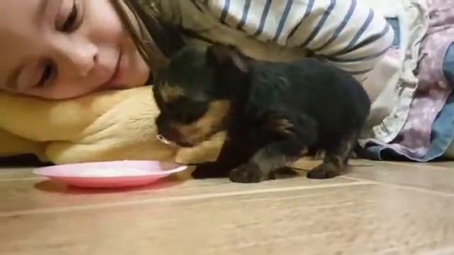 Фанни первый раз кушает дома смотреть онлайн