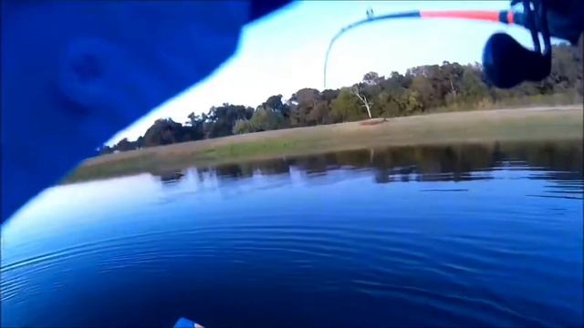 BOTE HD | Black Bass Fishing