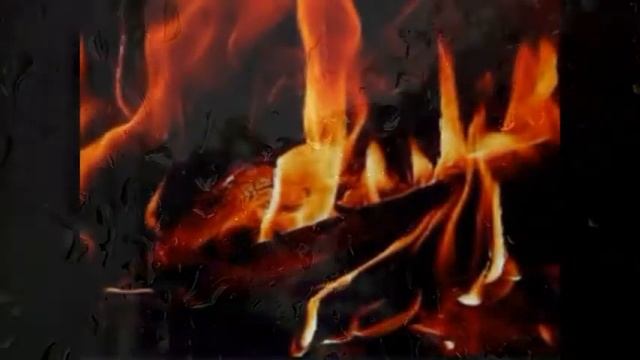 Поветлужье.Осенние цветы. смотреть онлайн