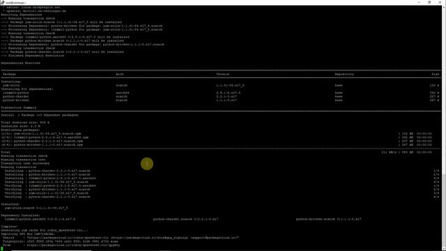 Микрокомпьютер: Raspberry PI 4 Model B 8 GB RAM Часть 7 запуск ОС CentOS 64-bit. Все ли хорошо? смотреть онлайн