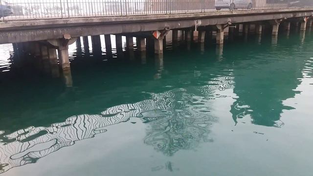 Спасение голубя. 21.03.2017 смотреть онлайн