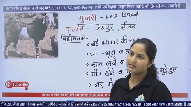 पशु परिचर भर्ती - 2023 || पशु नस्लों की सम्पूर्ण जानकारी || अब होगा इस नौकरी पर आपका हक़... смотреть онлайн