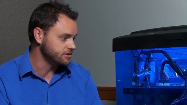 EXTENDED LOOK: Arthur's Oil-Cooled Shark Tank смотреть онлайн