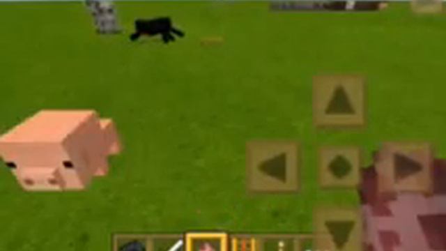 Текстура Willpack смотреть онлайн