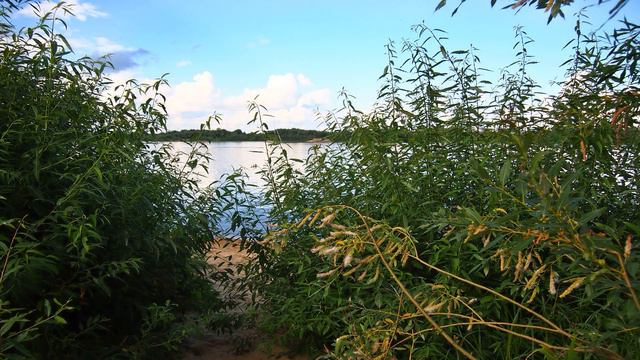 Муром. Побережье Оки, теплоход "БОРОДИНО" - июль 2018 / Murom. Oka coast, motor ship "Borodino" смотреть онлайн