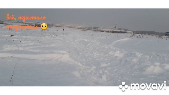 Учусь ездить по рыхлым колеям на питбайке. Держать баланс и всё такое.. смотреть онлайн
