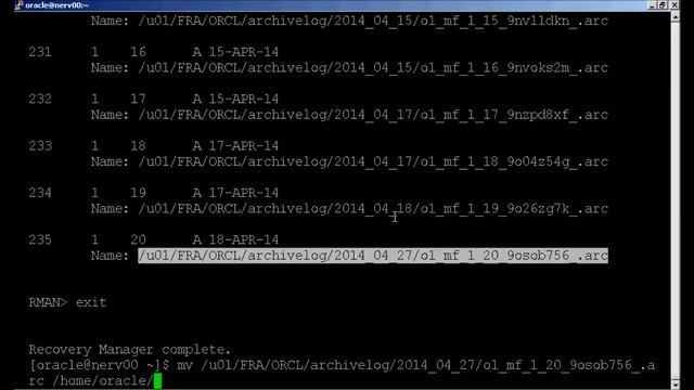 Oracle Backup & Recovery - Parte 07 - Quem Sabe Faz Ao Vivo смотреть онлайн