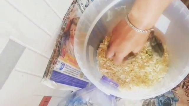 джунгарики смотреть онлайн