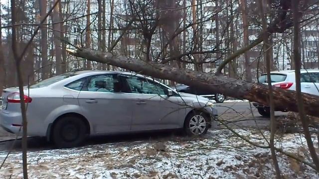 Что такое ВЕЗЕНИЕ (What is luck).