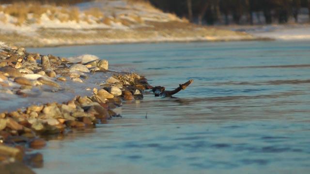 Футаж: прибой зимней реки. Средний план смотреть онлайн