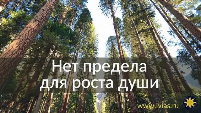 Нет предела для роста души | Книга жизни