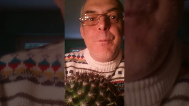 Max Raabe - Mein kleiner grüner Kaktus смотреть онлайн