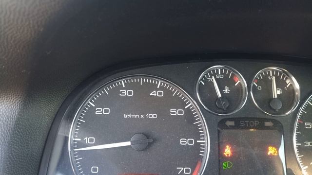 Неисправный ДТОЖ Peugeot 307 1.6 смотреть онлайн