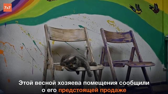 Ну всё в Рязани ЗАКРЫЛОСЬ Котокафе? смотреть онлайн