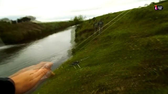 Este PESCADOR esta RE LOCO !! ¿Comó pescó esa Bestia? Mira el video - Pesca de carpa смотреть онлайн