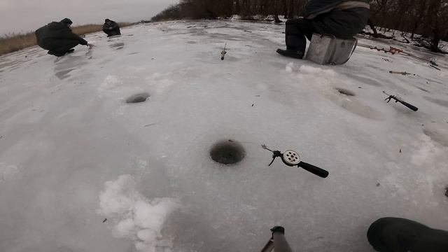 ЛОВЛЯ КАРАСЯ ЗИМОЙ НА МОТЫЛЯ СО ЛЬДА ЖОР КАРАСЯ смотреть онлайн