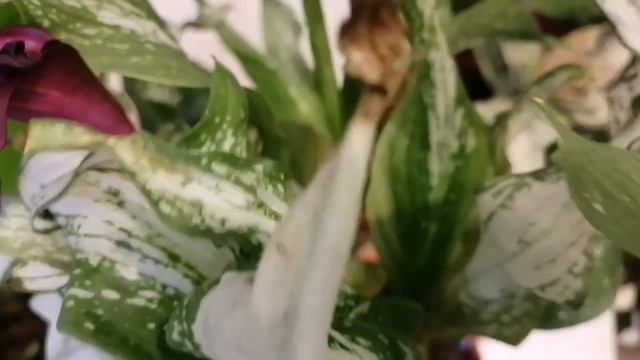 НОВИНКИ апреля ?? смотреть онлайн