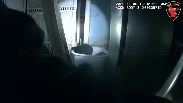 Dash Cam: Wauwatosa Police K9 Koa Sniffs Out Bad Guy After Police Pursuit смотреть онлайн