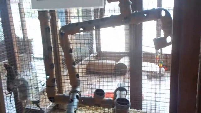 В трогательном зоопарке в ТРЦ «МореМолл» Сочи смотреть онлайн