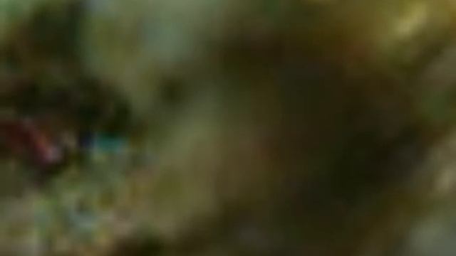 Stillbildefilm - dikt av Inger Hagerup/Elias смотреть онлайн