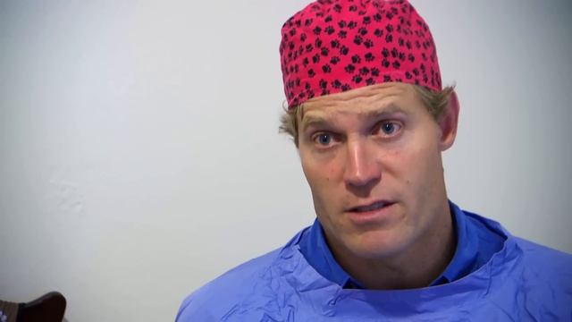 Vet is Heartbroken by Kitten Found in Box so he Adopts Her ??❤️ | Bondi Vet Clips | Bondi Vet смотреть онлайн