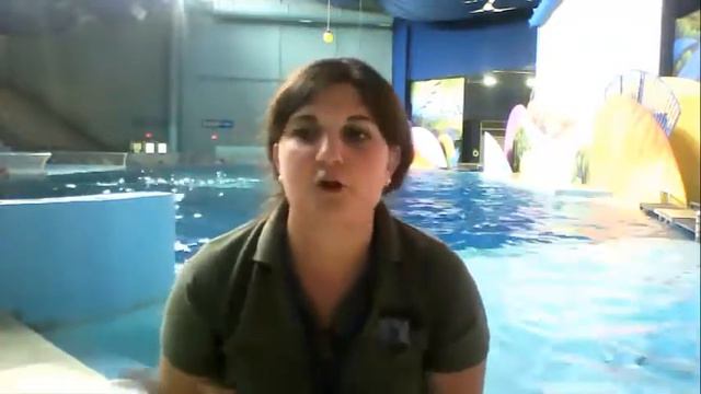 Ep. 23 - Marine Mammal Trainer, Indianapolis Zoo - Abbie (Mingus) Doan смотреть онлайн