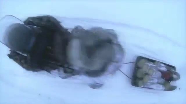Обзор Снегохода Dingo T125 смотреть онлайн