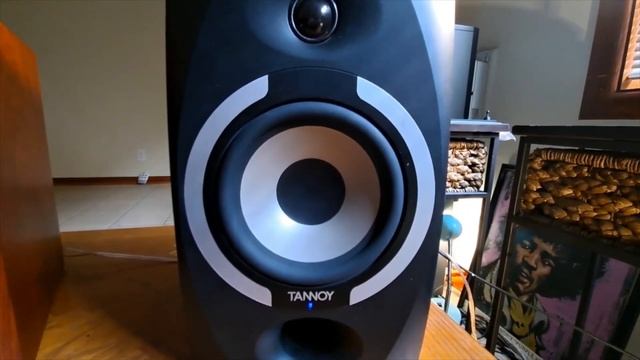 dynaudio focus 110 vs tannoy reveal 601.vocals смотреть онлайн