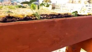 Вертикальные грядки плюсы и минусы.