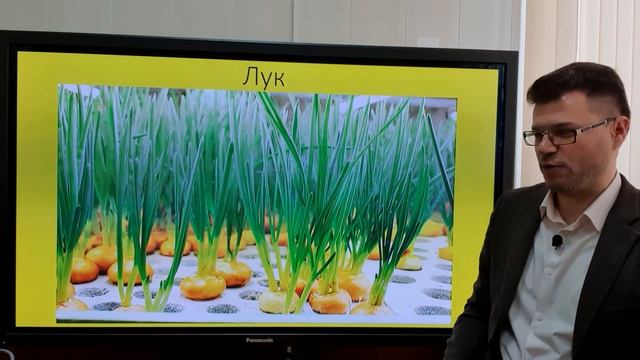 Что на огороде сажать в мае