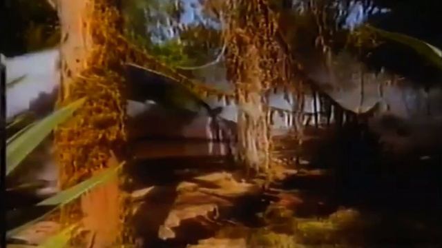 Anunció Peugeot 306 DIÉSEL 1994 - El devorador de kilómetros #diesel #90s смотреть онлайн