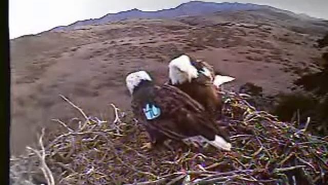 SC - Starting the Day with A27 & A40 смотреть онлайн