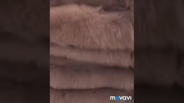 Шуба из песца цвет мокко смотреть онлайн
