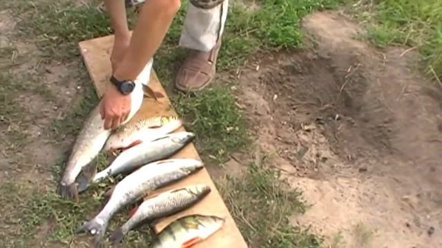 Сплав по Медведице 2015 И уха и жареха смотреть онлайн