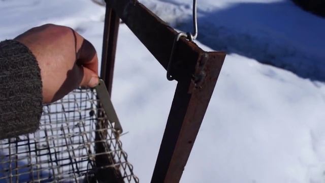 ловушка для хорьков,куниц,ласок,крыс смотреть онлайн