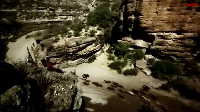 Омар Хайям Мудрости жизни 2 альтернативное видео) смотреть онлайн