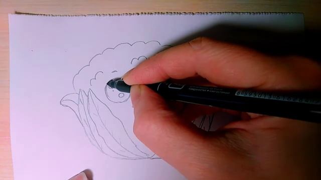 Как нарисовать легко цветную капусту, рисунки для детей смотреть онлайн