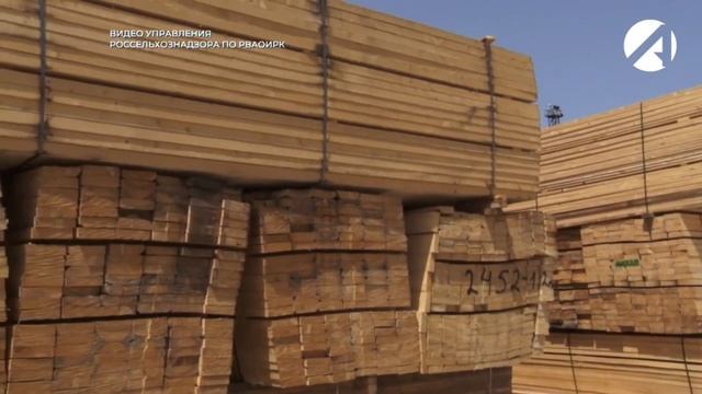 Специалисты Россельхознадзора контролирует экспортеров на соблюдение лесного карантина смотреть онлайн