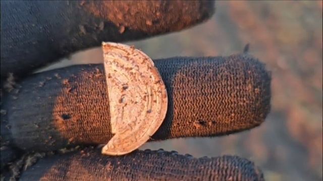 На средневековом поле с Эквинокс 900