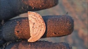 На средневековом поле с Эквинокс 900