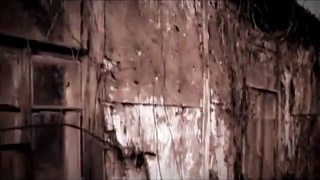 Океан Ельзи Незалежність NEW 2013) YouTube смотреть онлайн