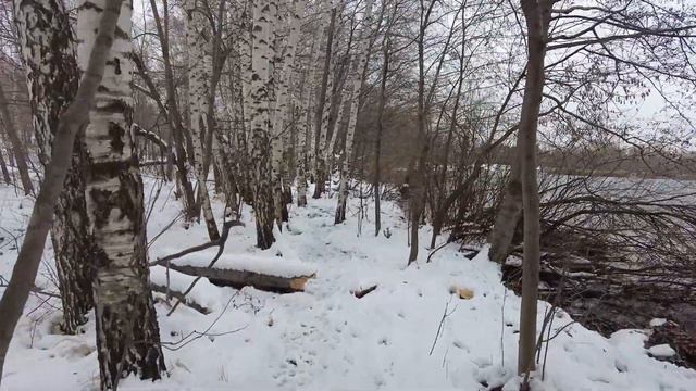 Ноябрьская зарисовка 19 11 22 г смотреть онлайн