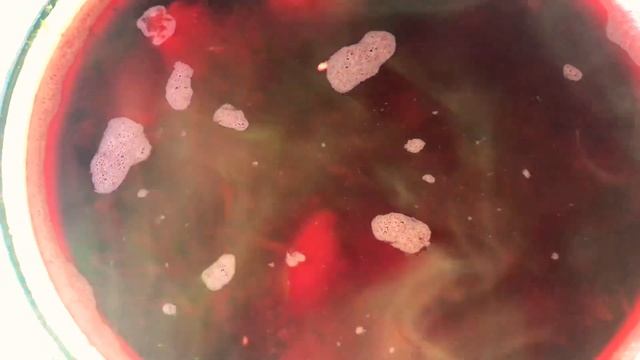 Холодный Суп из Свеклы