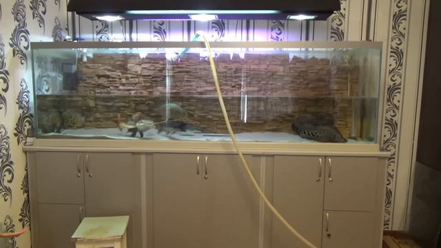 замена воды в аквариуме смотреть онлайн