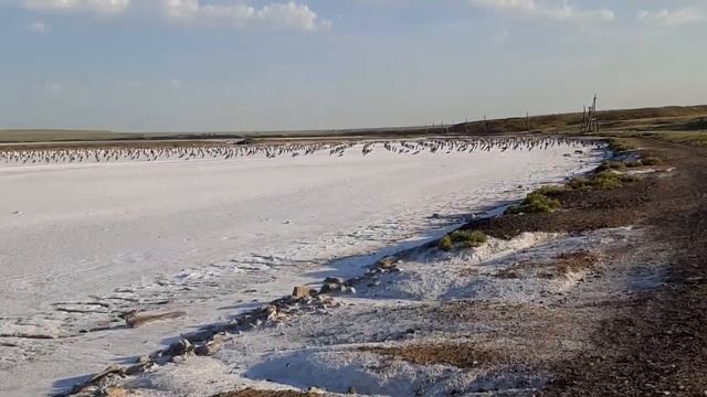 Баскунчак. Первое озеро превратилось в соль. Вместо воды белая соль. Хоть собирай и клади в солонку смотреть онлайн