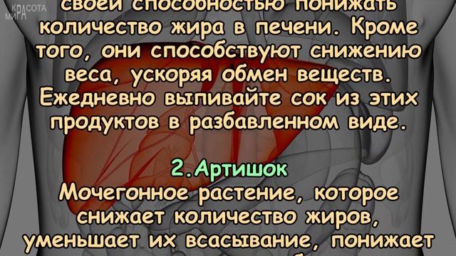 Как ВОССТАНОВИТЬ свою ПЕЧЕНЬ и избавить ее ОТ ЖИРОВ смотреть онлайн