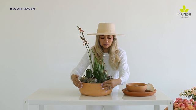 Mayesh Design Star: Potted Floral Cactus Garden смотреть онлайн