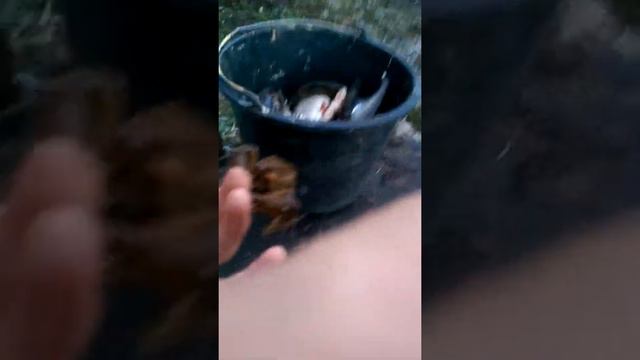 Рак укусил смотреть онлайн