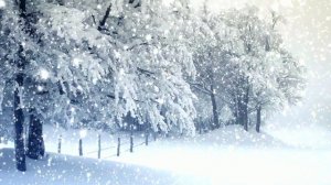 Футаж. Зимний пейзаж 57