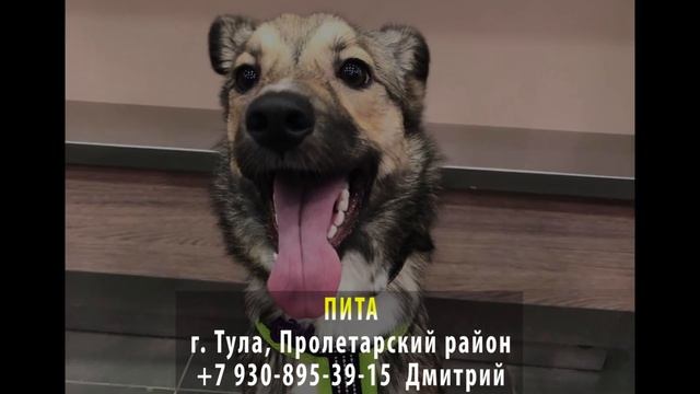 ДОМА! ПИТА. г. Тула, Пролетарский район смотреть онлайн